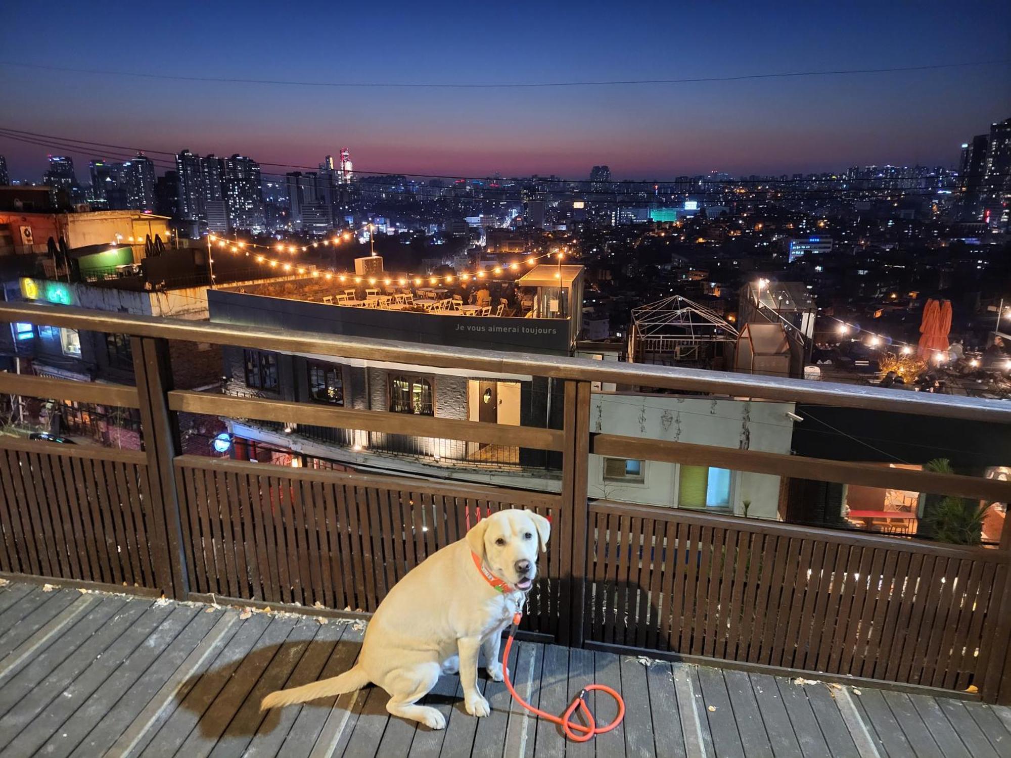 Brand New 2 Bedroom #6 Apartment Seoul